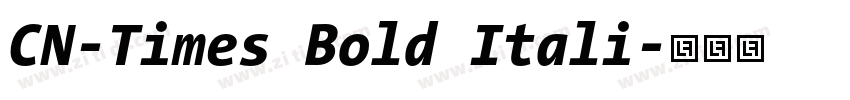 CN-Times Bold Itali字体转换